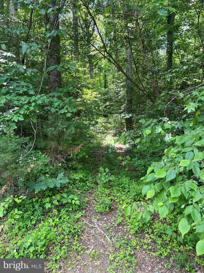 5517 Forest View Dr Property Photo 7