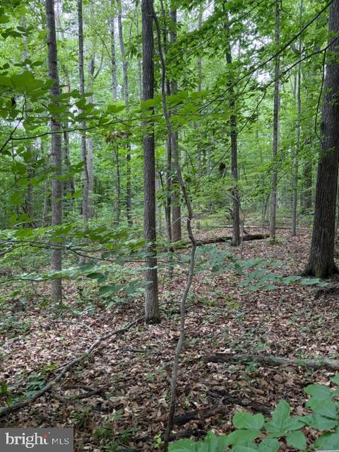 15413 Drummers Ln Property Photo 1