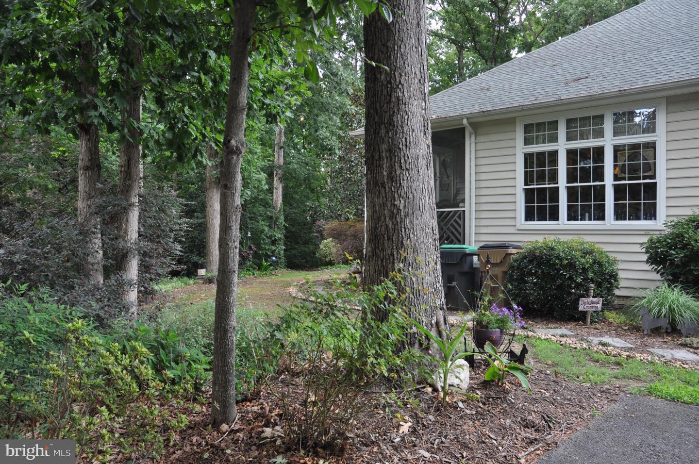 4203 Mount Vernon Pl Property Photo 45