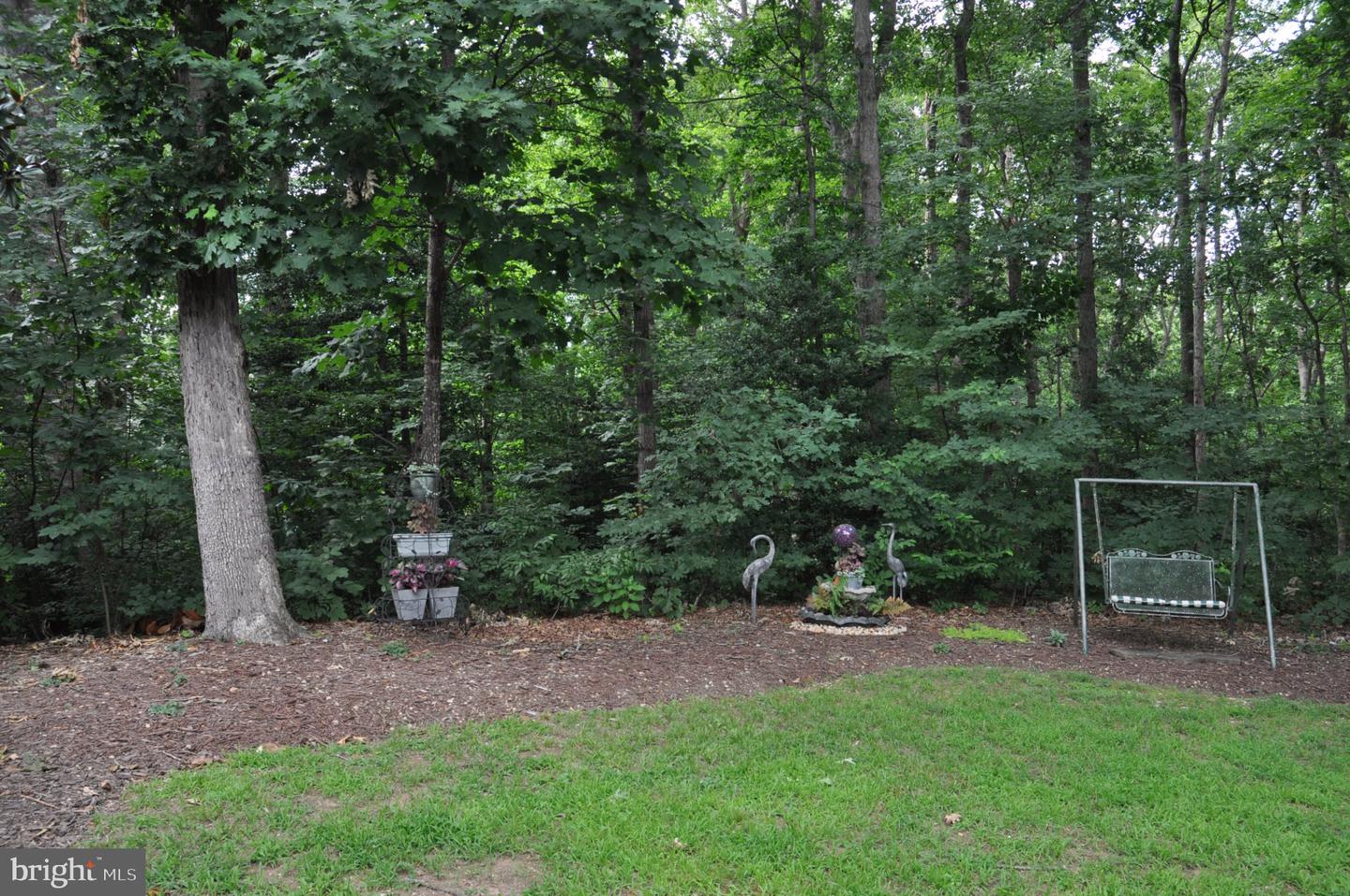 4203 Mount Vernon Pl Property Photo 49