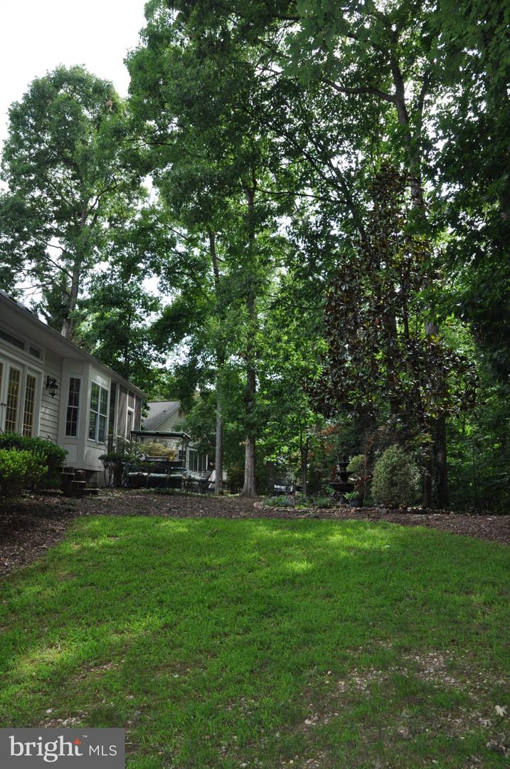 4203 Mount Vernon Pl Property Photo 51