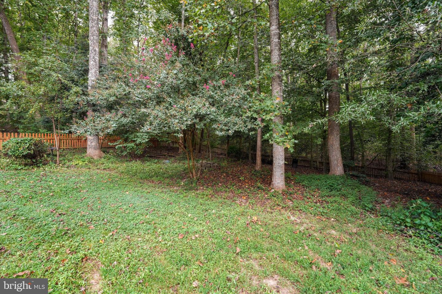 9811 Ramsay Dr Property Photo 47