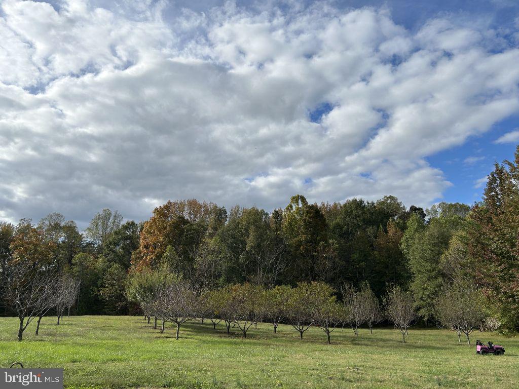 Assigned On Request Property Photo 2