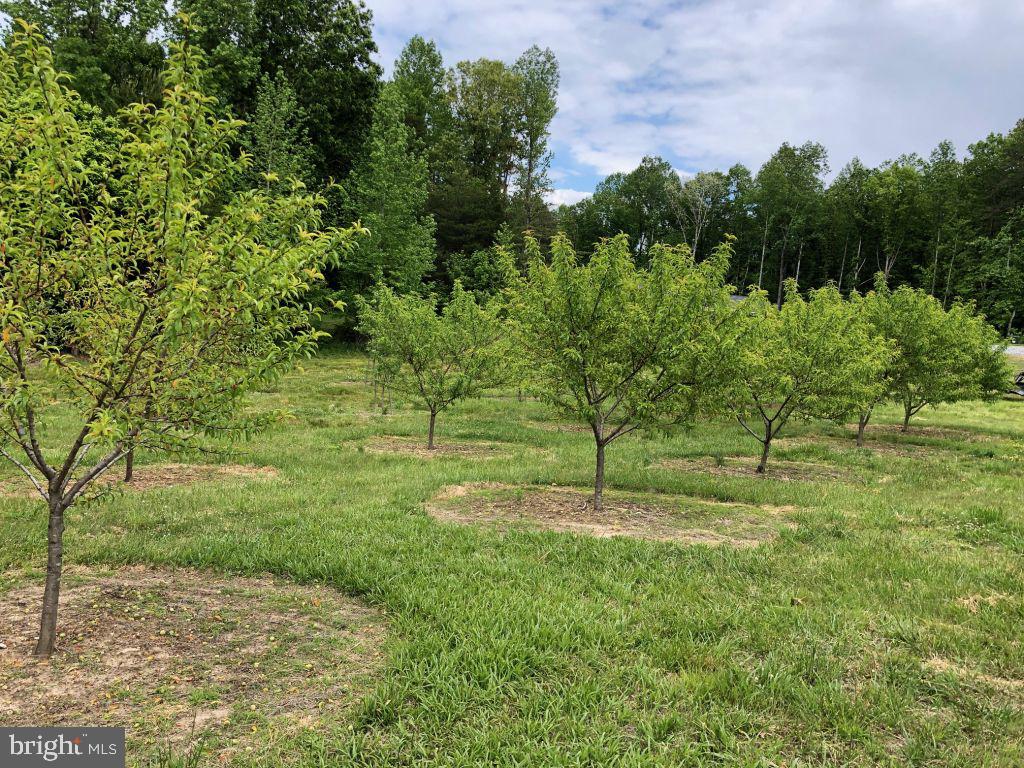 Assigned On Request Property Photo 8