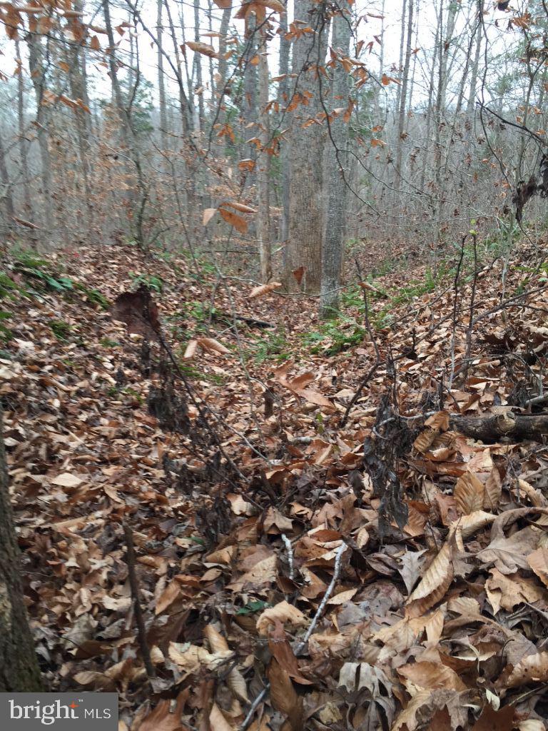 Assigned On Request Property Photo 15