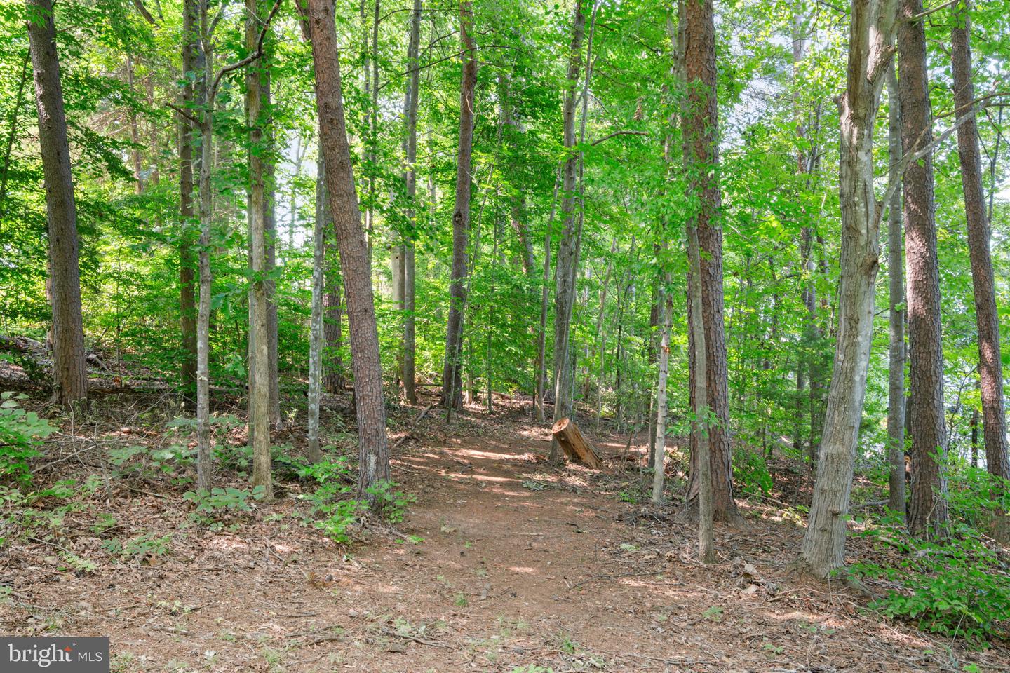 2802 Wallers Quarters Rd Property Photo 33