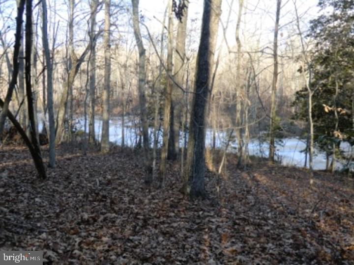 13610 Fifth Corps Ln Property Photo 6