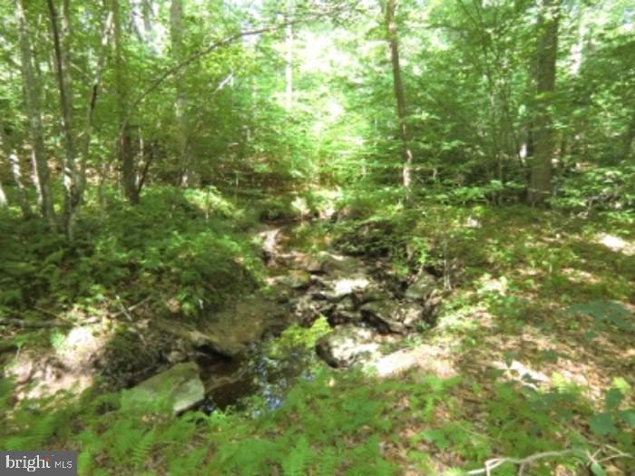 13610 Fifth Corps Ln Property Photo 7