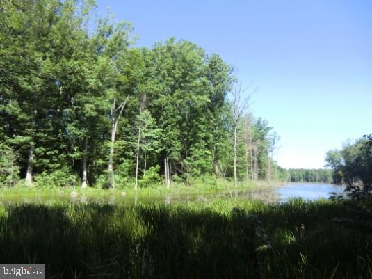 13610 Fifth Corps Ln Property Photo 8