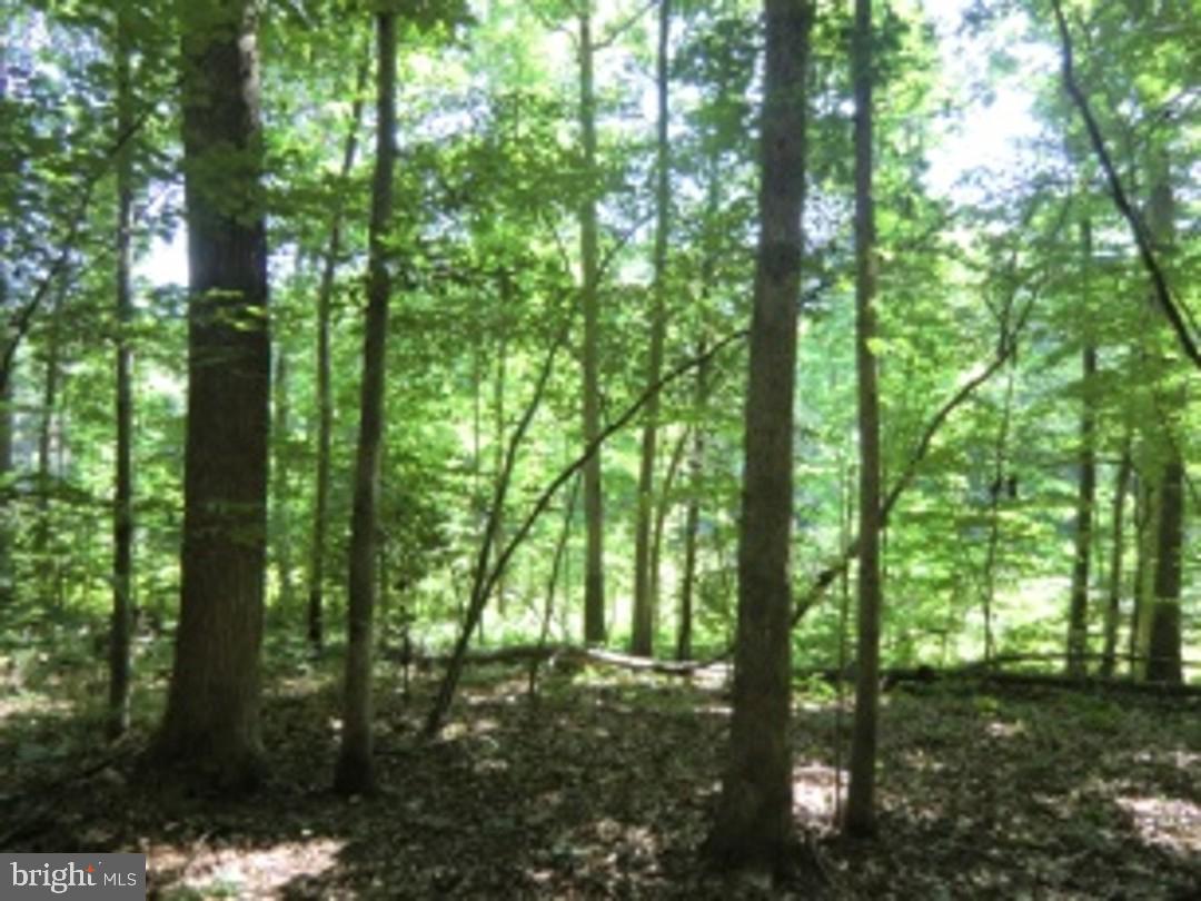 13610 Fifth Corps Ln Property Photo 16