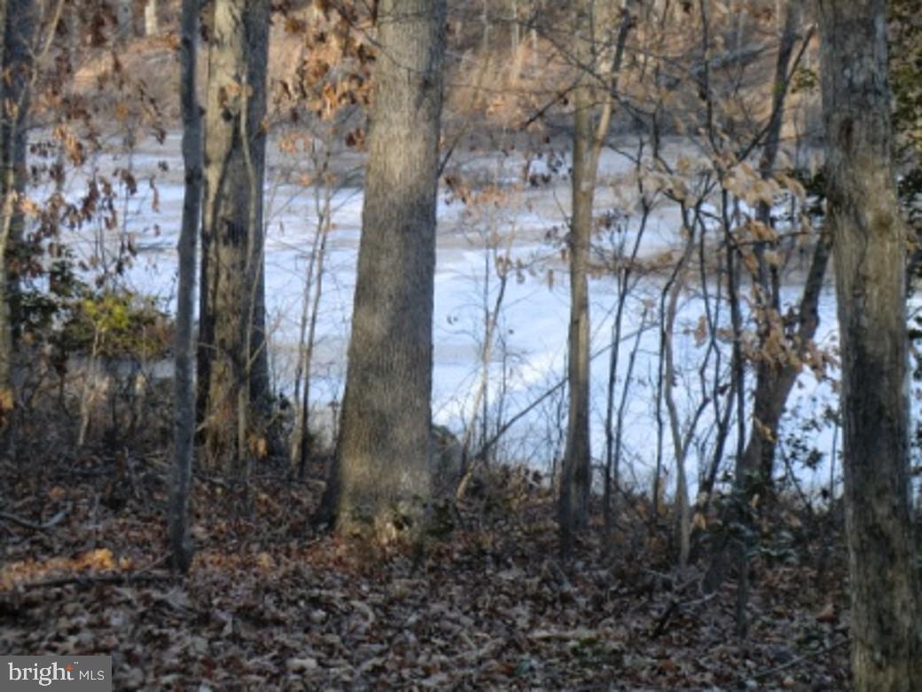 13610 Fifth Corps Ln Property Photo 17