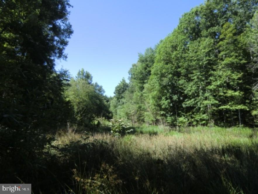 13610 Fifth Corps Ln Property Photo 20