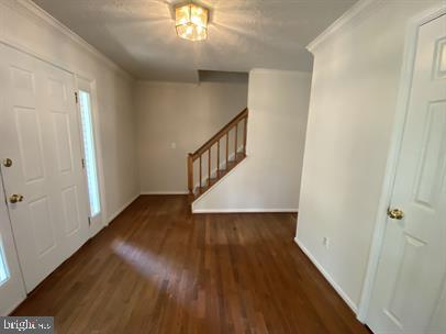 11304 Springfield Dr Property Photo 4