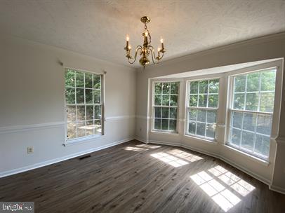 11304 Springfield Dr Property Photo 7