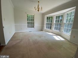 11304 Springfield Dr Property Photo 12