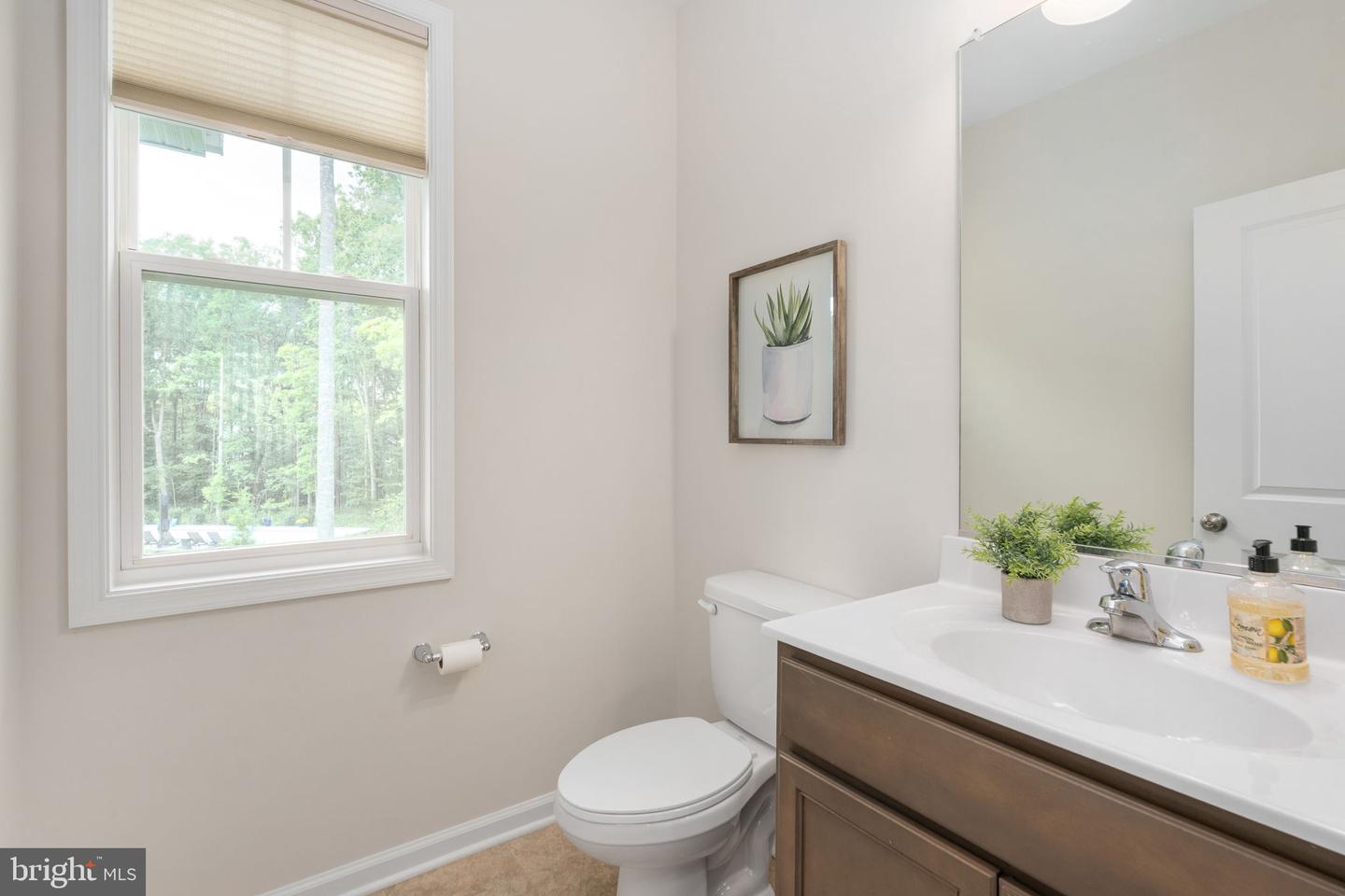 10602 Springvale Ln Property Photo 22