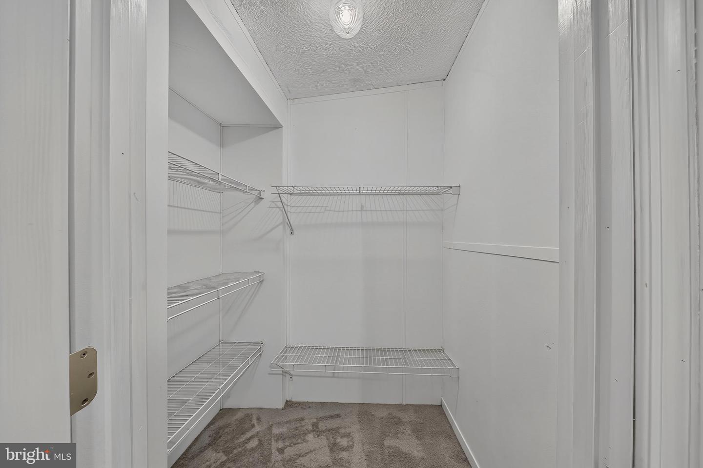 11400 Piney Forest Property Photo 19