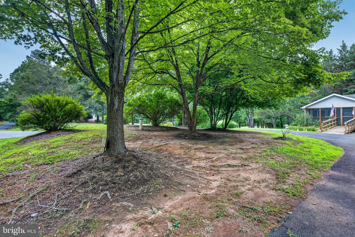 11400 Piney Forest Property Photo 59