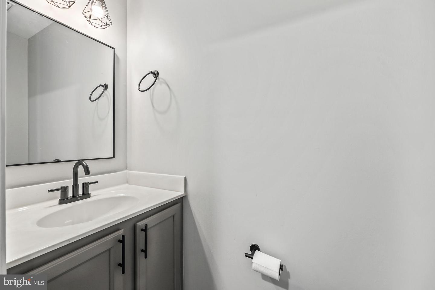 10036 Gander Ct Property Photo 33