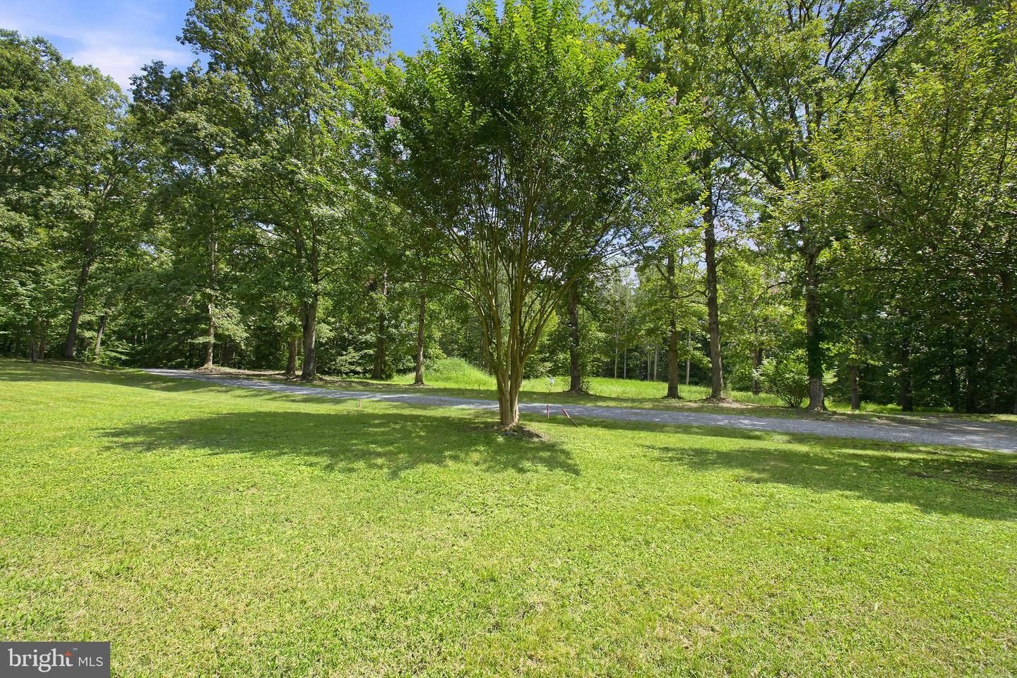 13010 Spotswood Furnace Rd Property Photo 46
