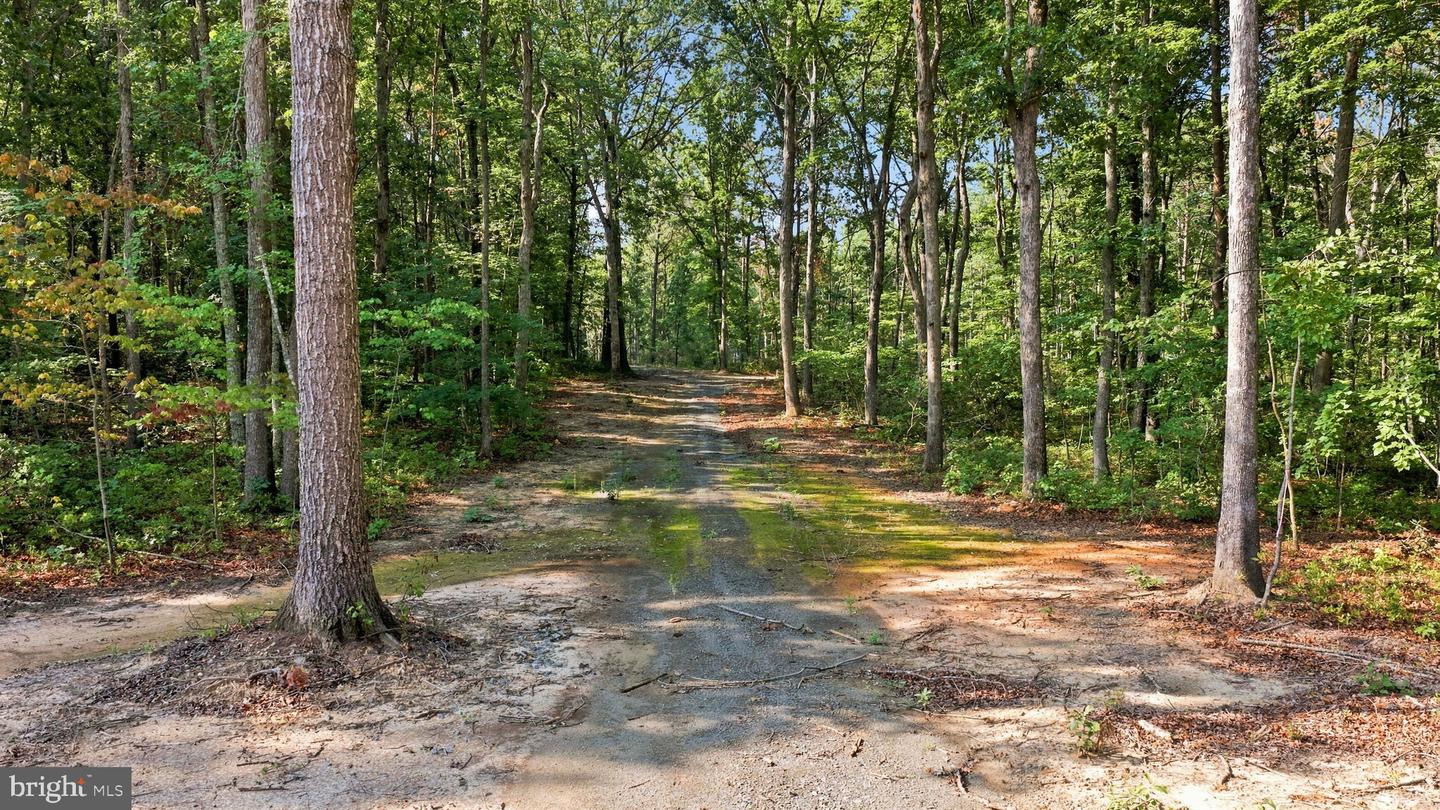 13009 Orange Plank Rd Property Photo 2
