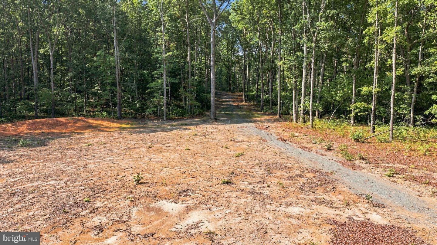 13009 Orange Plank Rd Property Photo 3