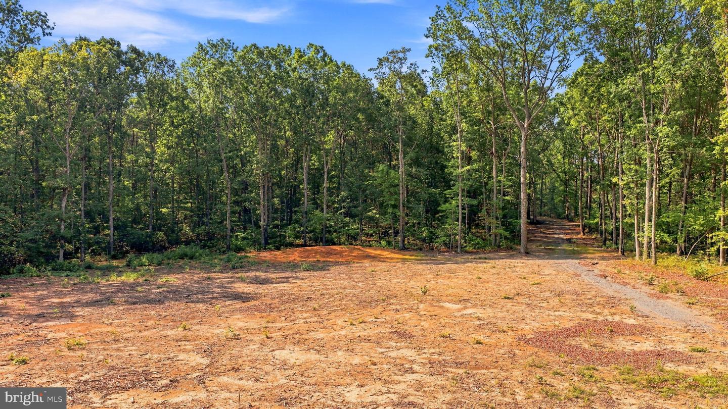 13009 Orange Plank Rd Property Photo 4