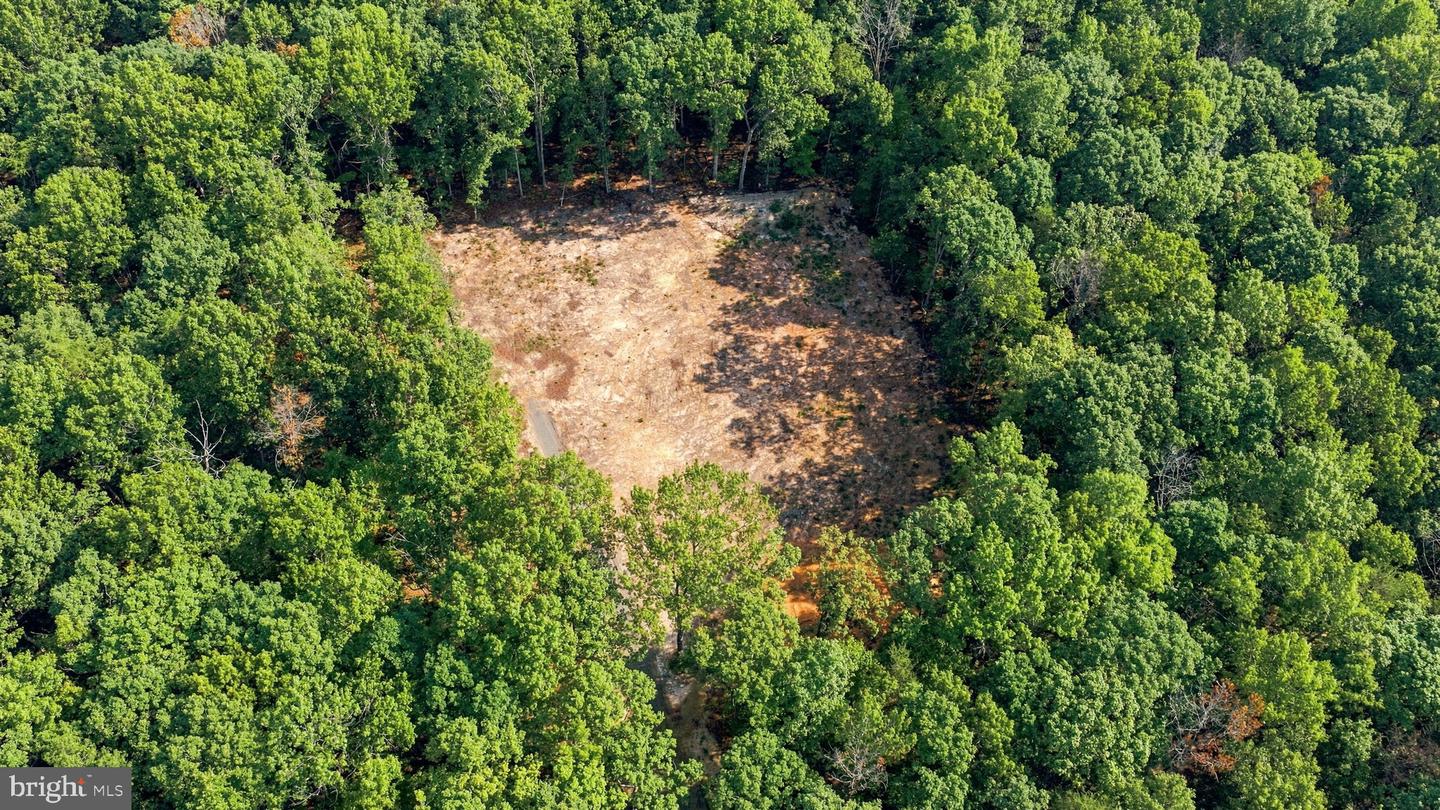 13009 Orange Plank Rd Property Photo 5