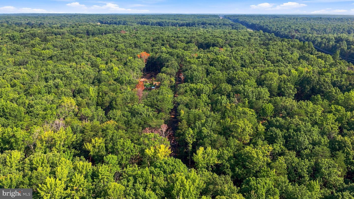 13009 Orange Plank Rd Property Photo 7