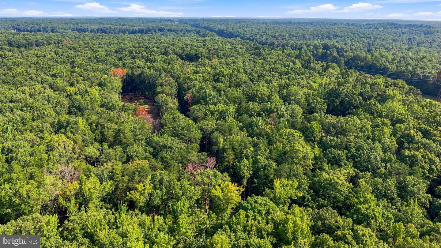 13009 Orange Plank Rd Property Photo 9