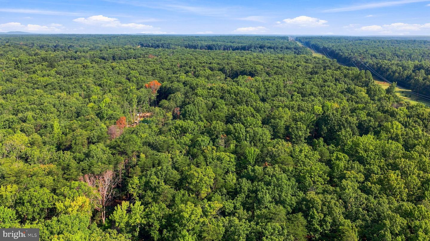 13009 Orange Plank Rd Property Photo 11