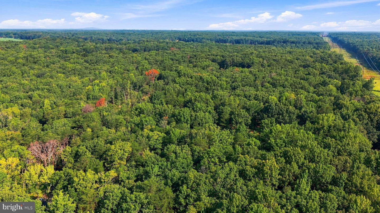 13009 Orange Plank Rd Property Photo 12