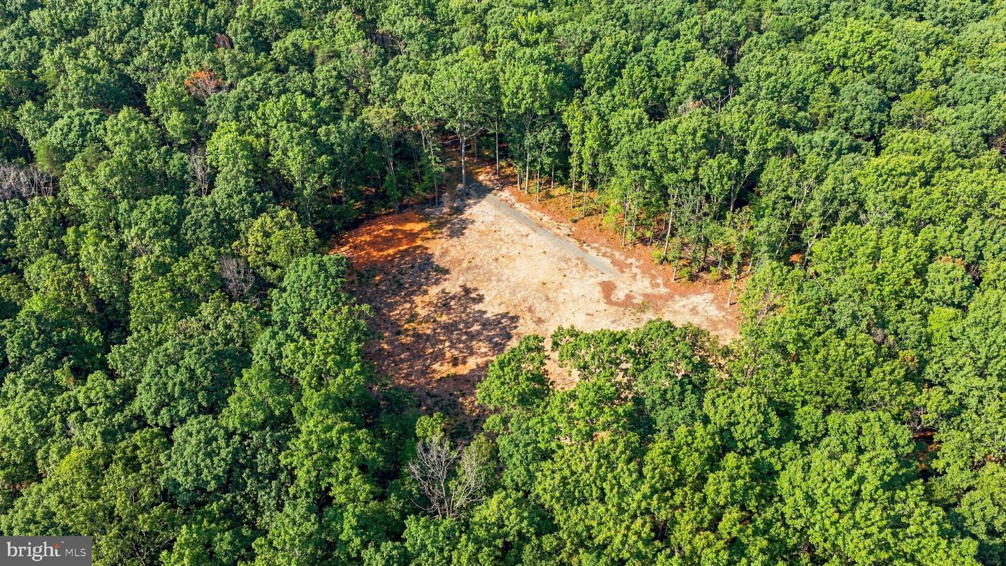 13009 Orange Plank Rd Property Photo 14