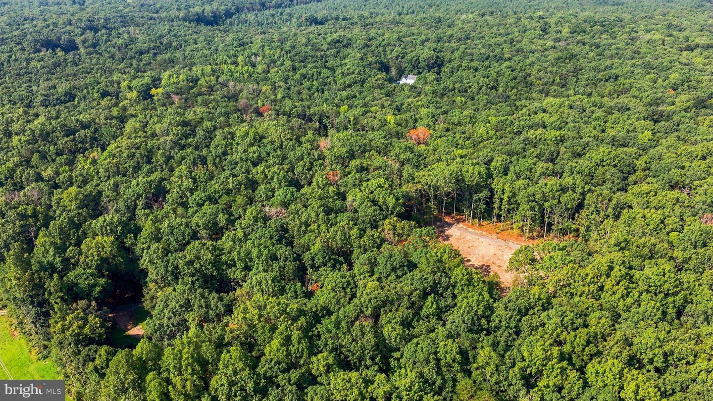 13009 Orange Plank Rd Property Photo 15