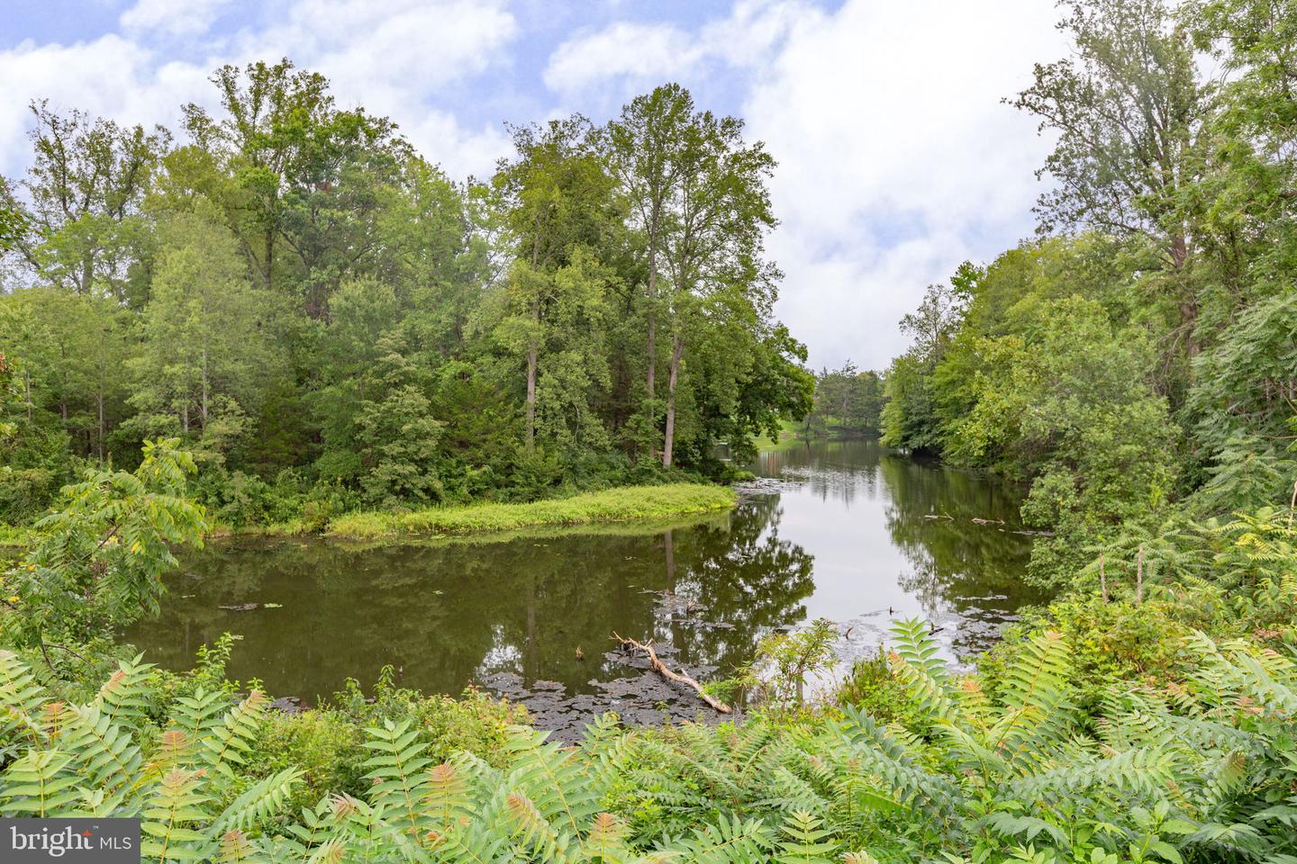 11315 Mansfield Club Dr Property Photo 40