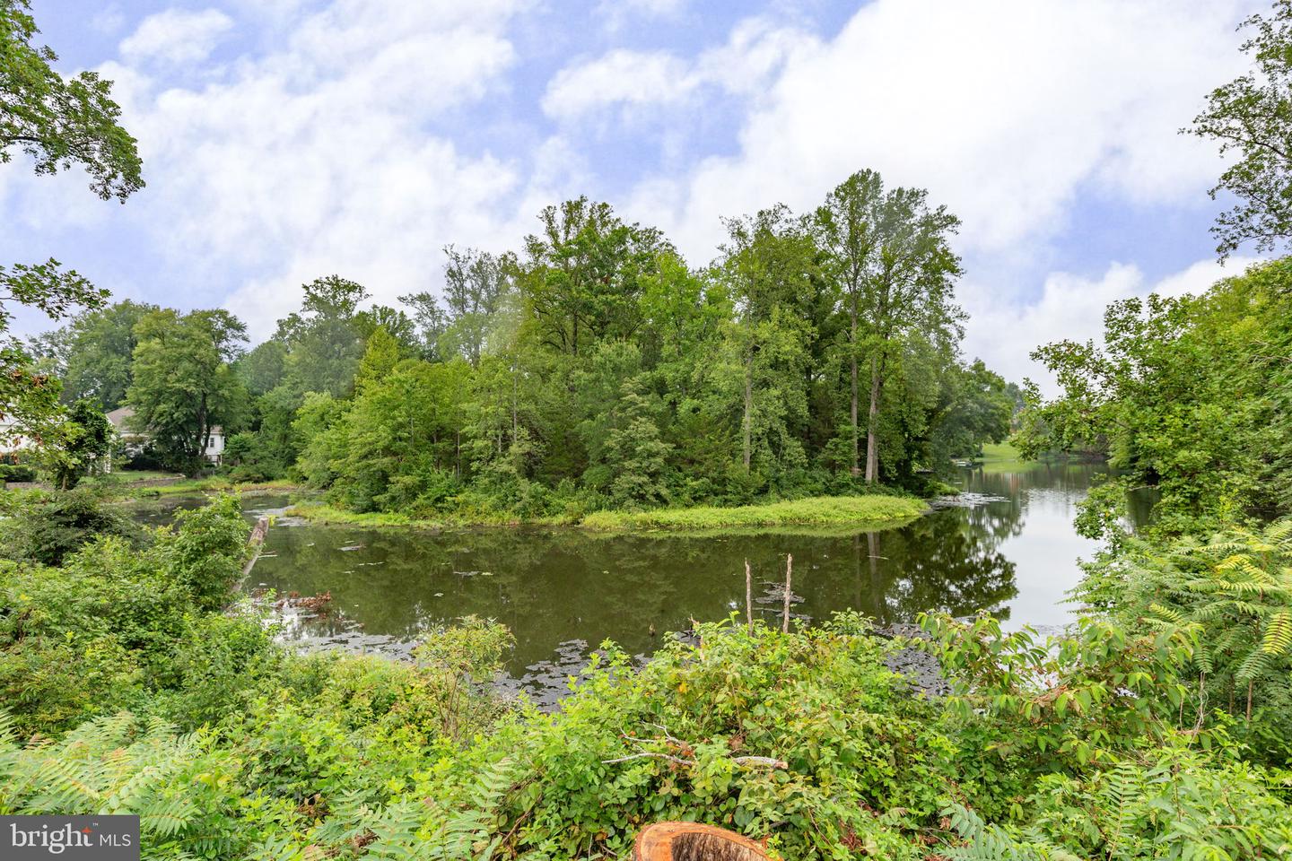 11315 Mansfield Club Dr Property Photo 41