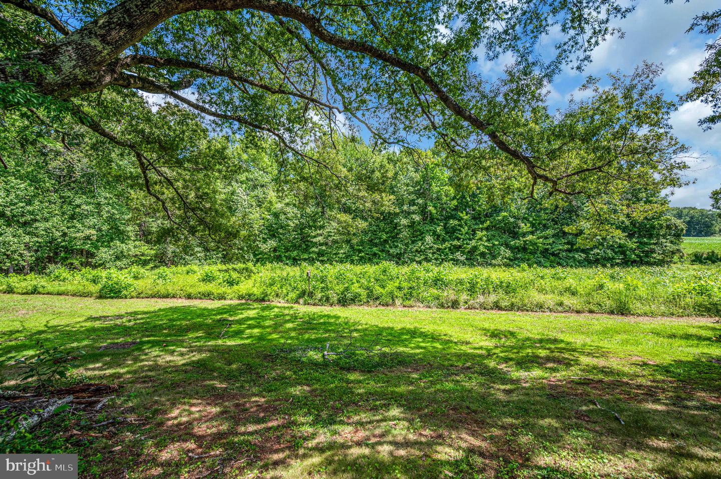 3401 Shirleys Hill Rd Property Photo 14
