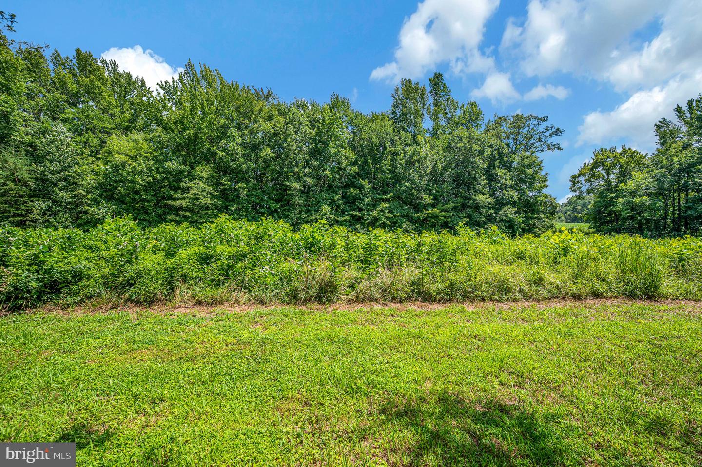 3401 Shirleys Hill Rd Property Photo 16