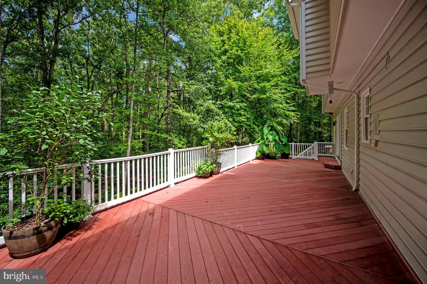 8609 Lee Jackson Property Photo 51