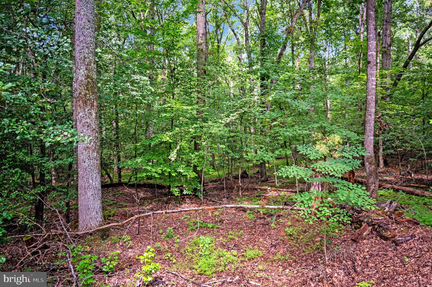 8609 Lee Jackson Property Photo 79