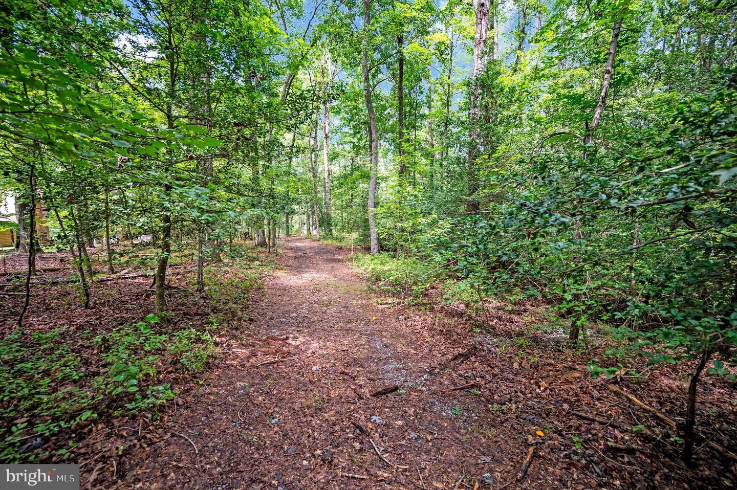 8609 Lee Jackson Property Photo 81