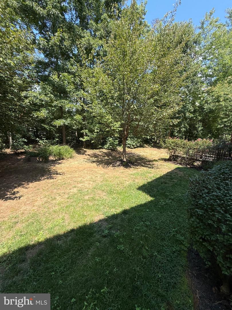 11621 Pine Hollow Ln Property Photo 40