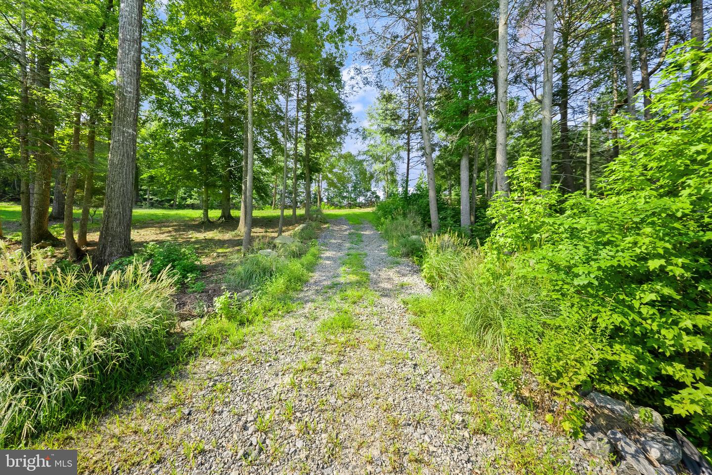 14513 Spotswood Furnace Rd Property Photo 74
