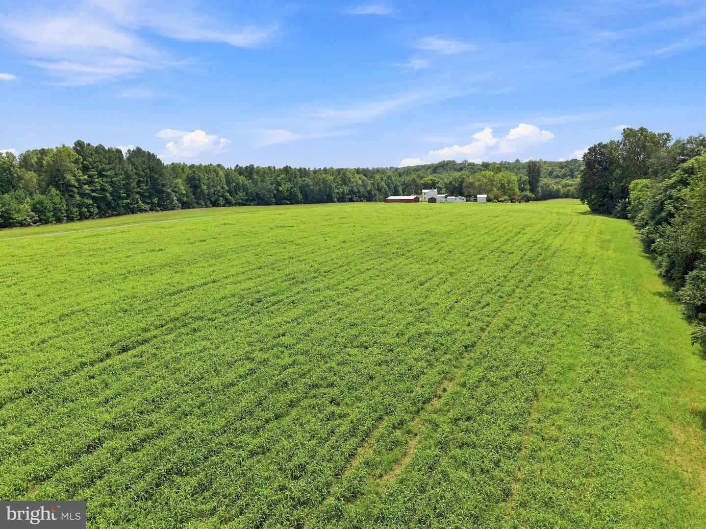 Grand Brooks Rd Property Photo 18
