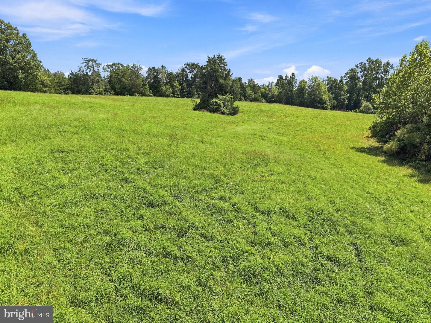 Grand Brooks Rd Property Photo 25