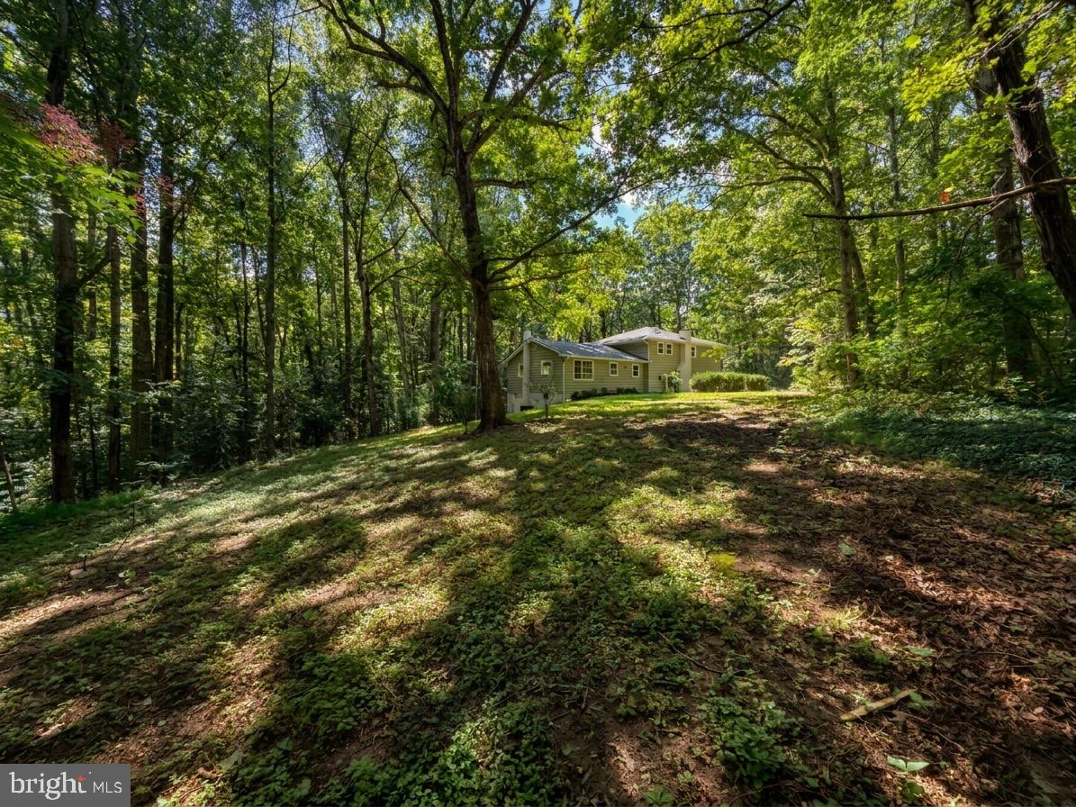 7607 Nyland Rd Property Photo 50