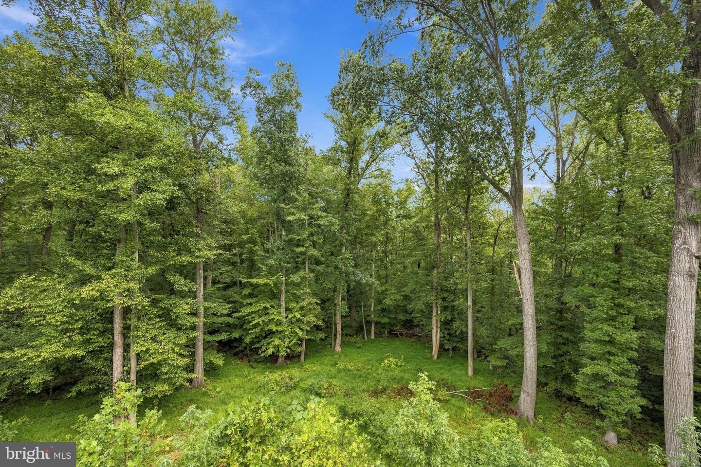 6121 Sunlight Mountain Property Photo 47