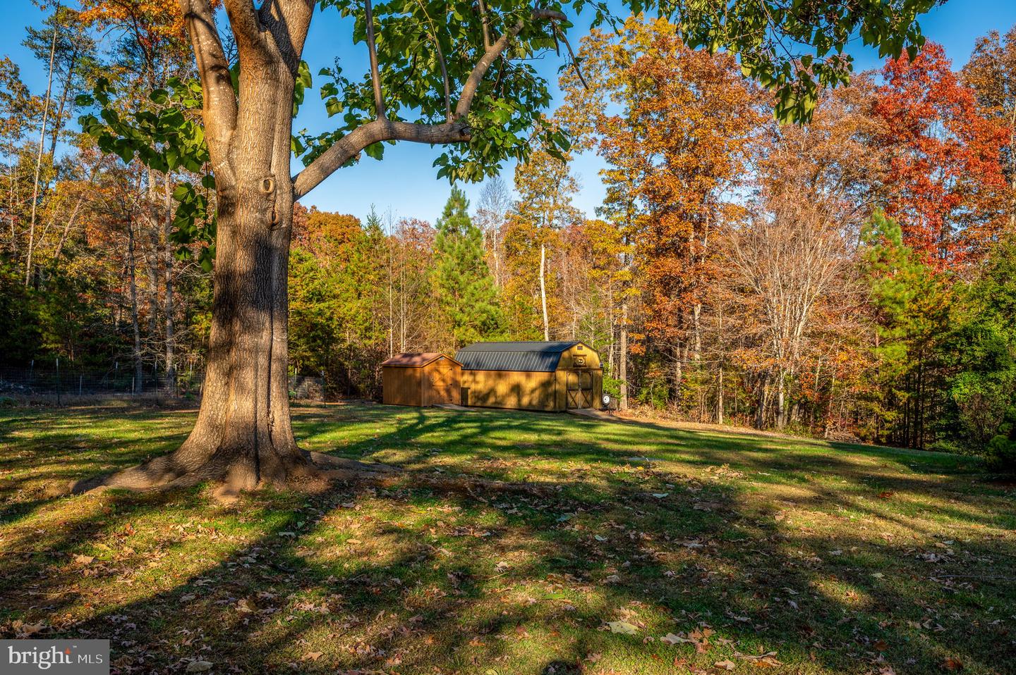 10325 Mill Pond Rd Property Photo 15