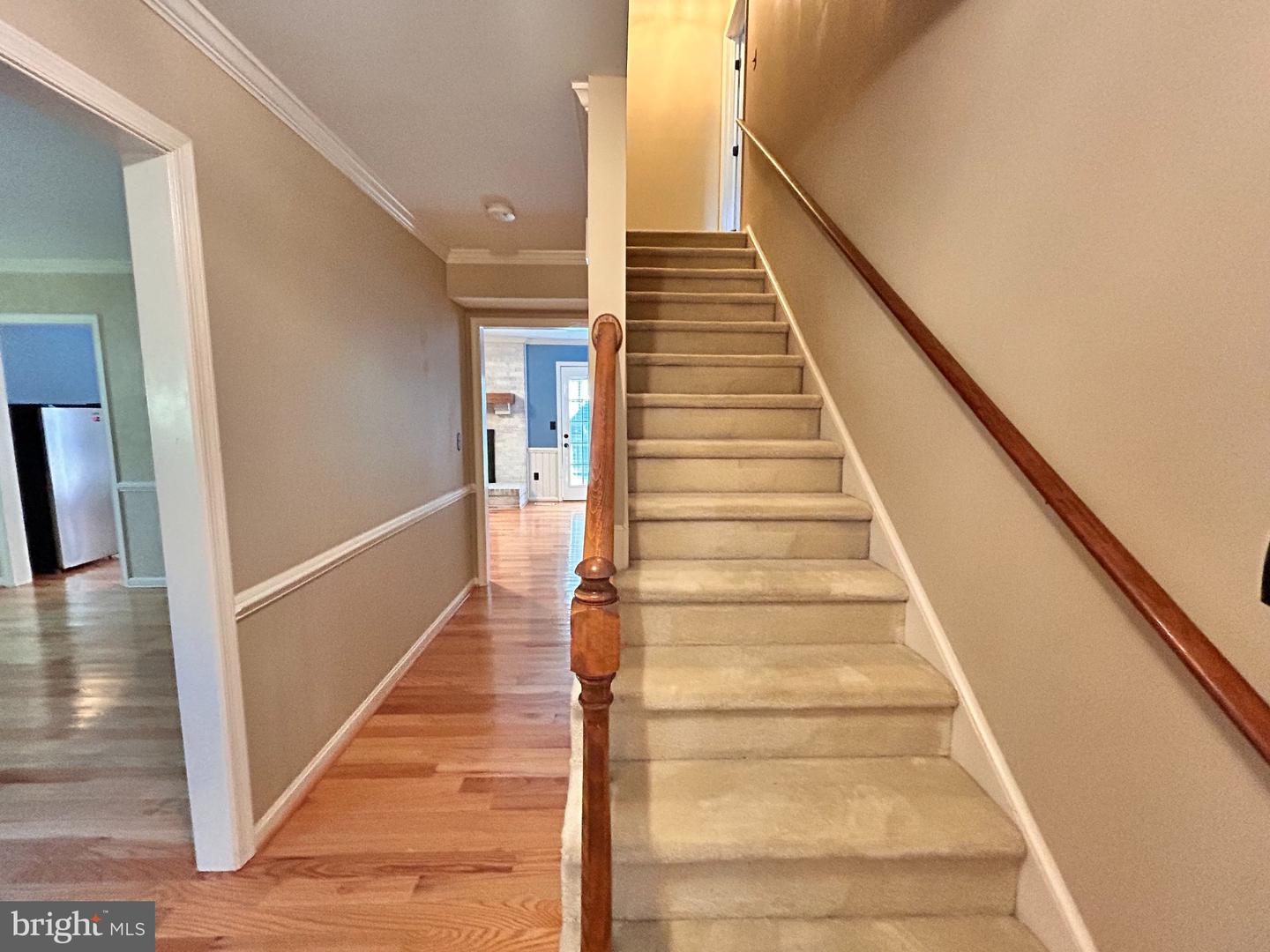 11304 Enchanted Woods Way Property Photo 12