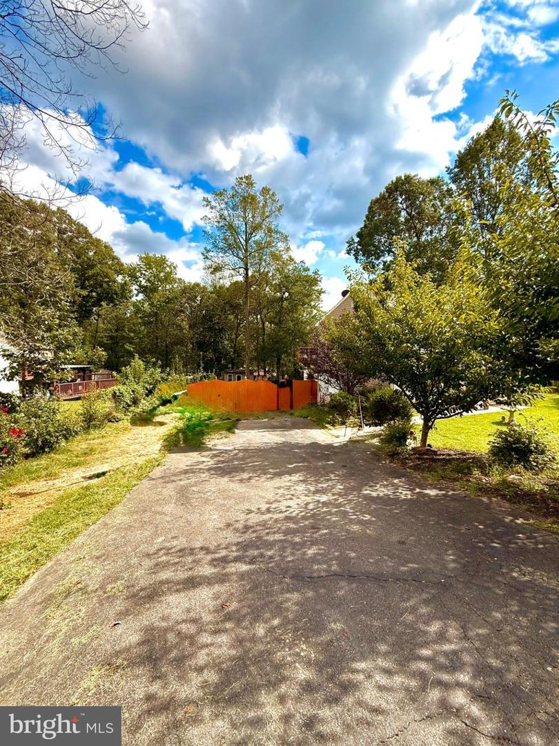 10411 Forest Hill Ct Property Photo 3
